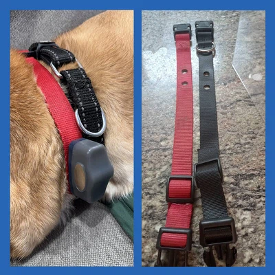 yellow dog collar yellow dog collar