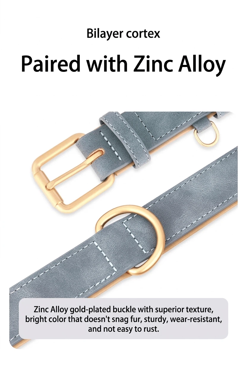 engraved dog collar engraved dog collar