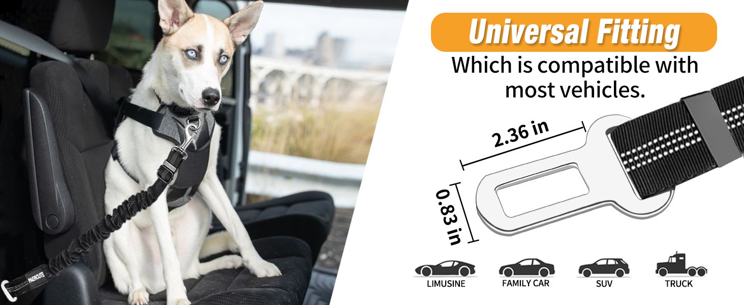 Lockable safety buckle dog harness leash Lockable safety buckle dog harness leash