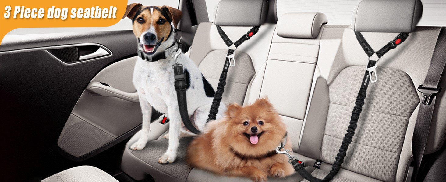 Padded traffic handle control leash Padded traffic handle control leash