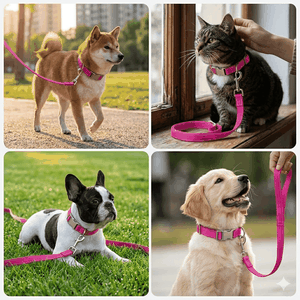 Weather-resistant dog training gear Weather-resistant dog training gear