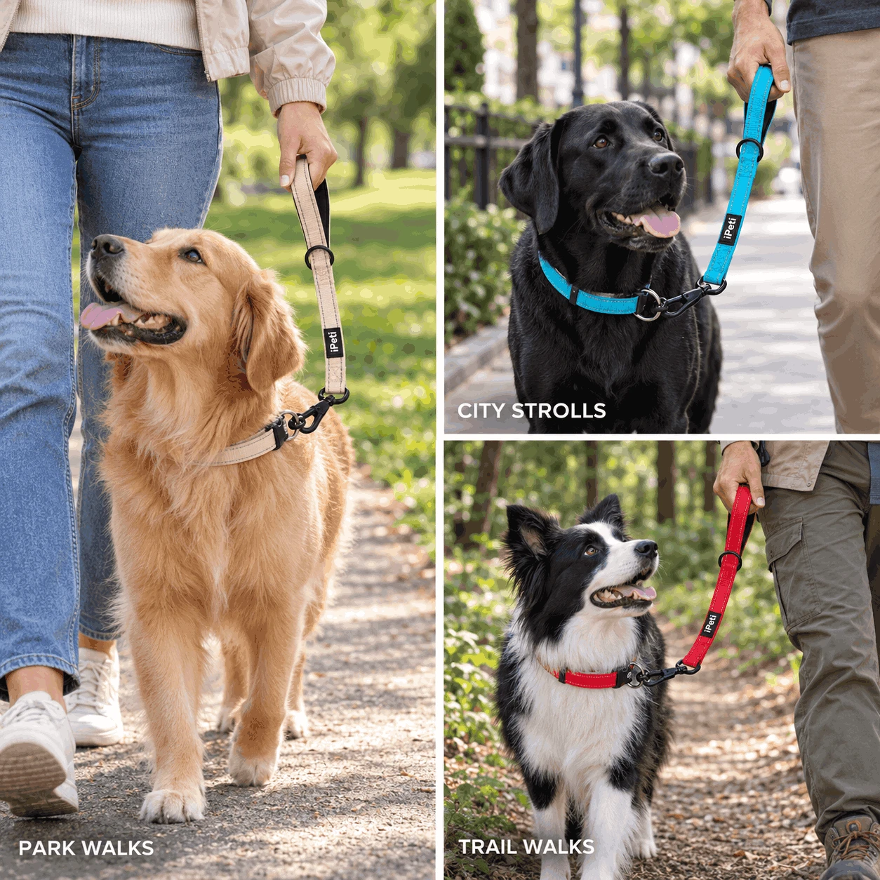 close control dog lead close control dog lead