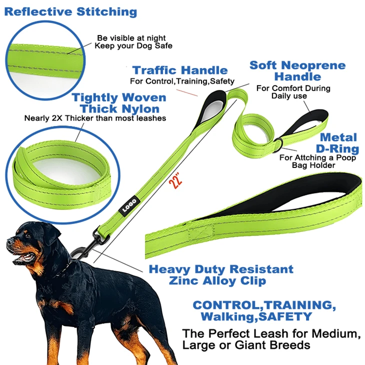 Professional Dog Leash