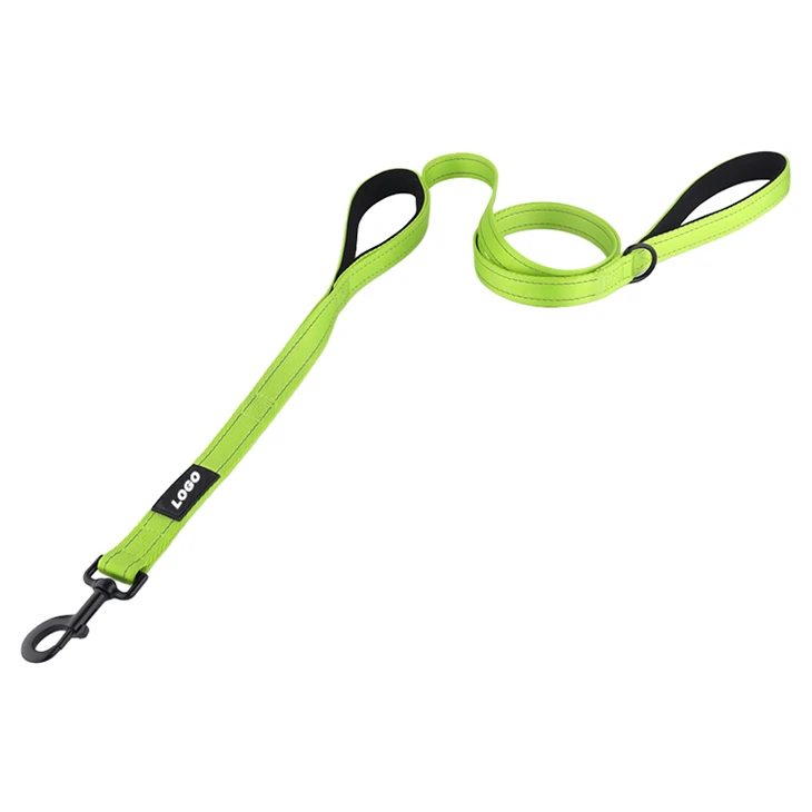 Professional Dog Leash