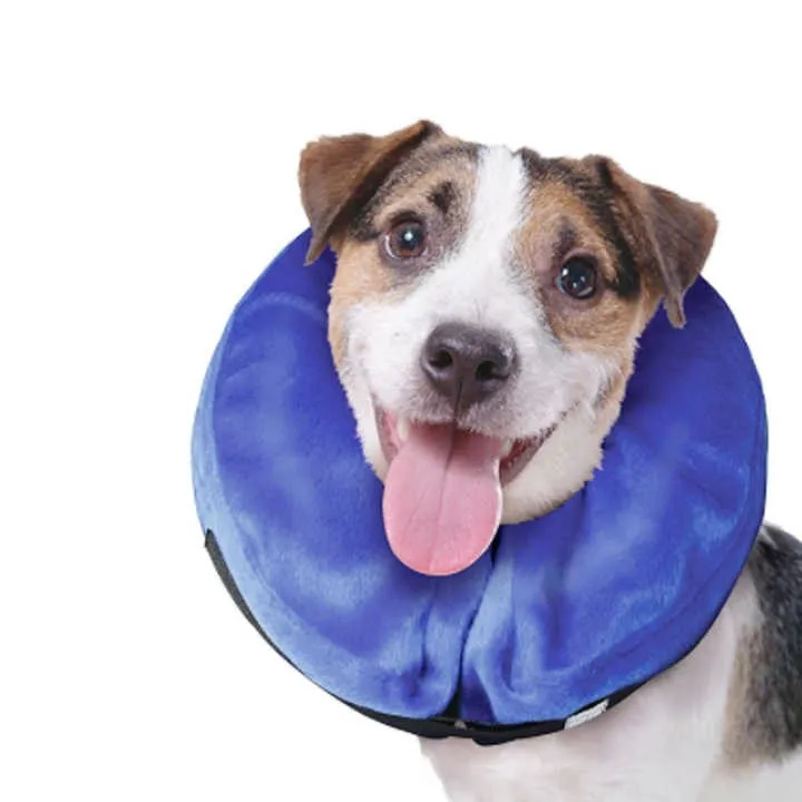 Protective Dog Collar