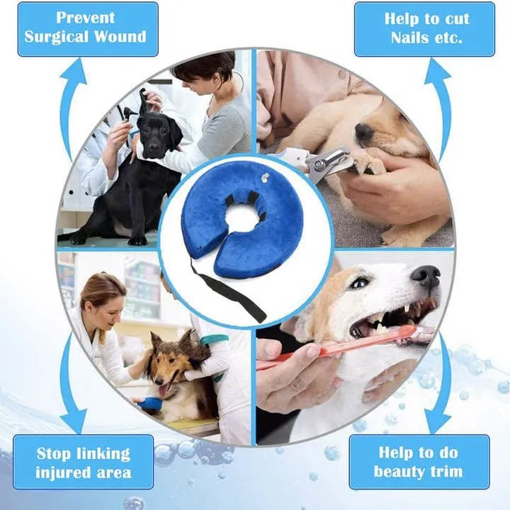 Protective Dog Collar