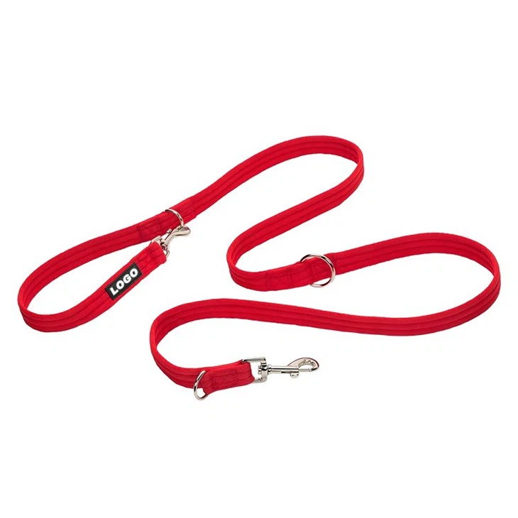 Secure Dog Leash