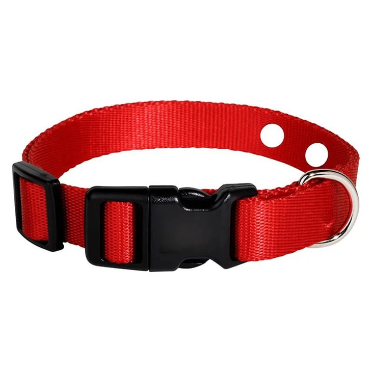 Shock Collar For Dogs
