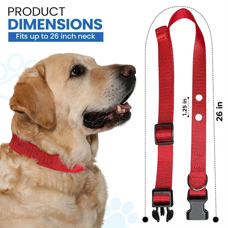 Shock Collar For Dogs