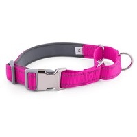 2-in-1 Martingale-Style Dog Collar 2-in-1 Martingale-Style Dog Collar