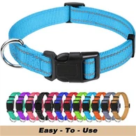 Adjustable Classic Dog Collar