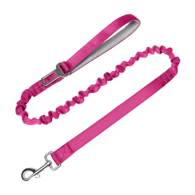 Bungee Dog Leash With Seatbelt