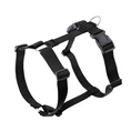 Classic H-Shape Nylon Dog Harness