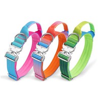 Colorful Nylon Pet Collar