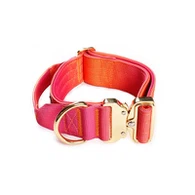 Cool Dog Collar