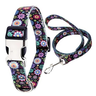 Designer Dog Collar And Lead