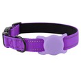 Dog Collar With GPS Holder