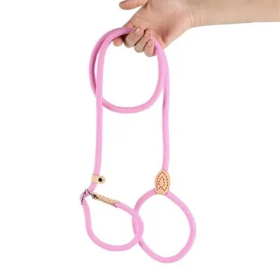 Dog NO PULL Slip Leash