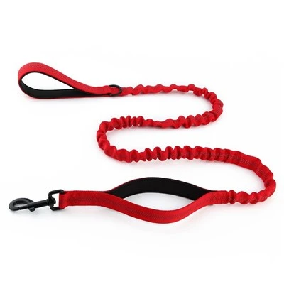 Dual Handle Bungee Dog Leash