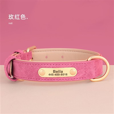 Engraved Nameplate Dog Collar