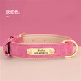 Engraved Nameplate Dog Collar