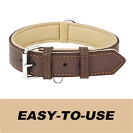 Leather dog Collars