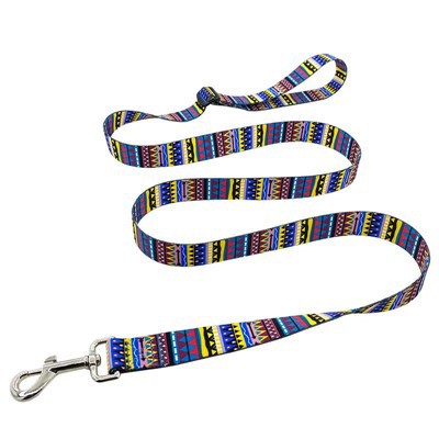 Multi-Functional Dog Leash