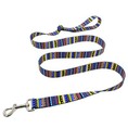 Multi-Functional Dog Leash