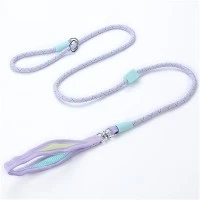 P Chain Dog Leash