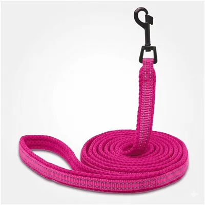 Padded Pet Rope Leash