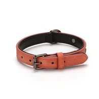 Padded PU Dog Collar