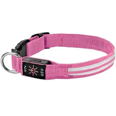 Pet LED Dog Collar