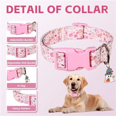 Premium Adjustable Dog Collar Premium Adjustable Dog Collar