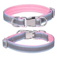 Reflective Dog Collar With Metal Buckle