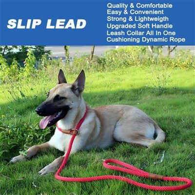 Round Dog Leash Round Dog Leash