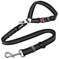 Seat Belt Leash For Dogs