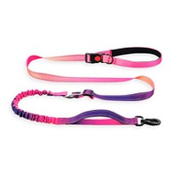 Elastic Dog Leash