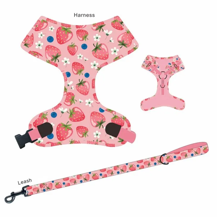 Stylish Pet Harness Set factory