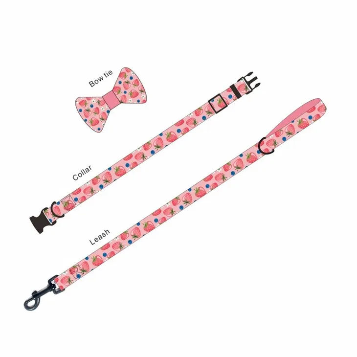 Stylish Pet Harness Set best