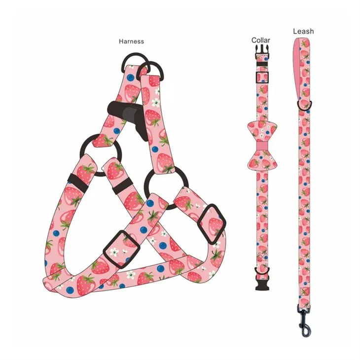 Stylish Pet Harness Set high quality