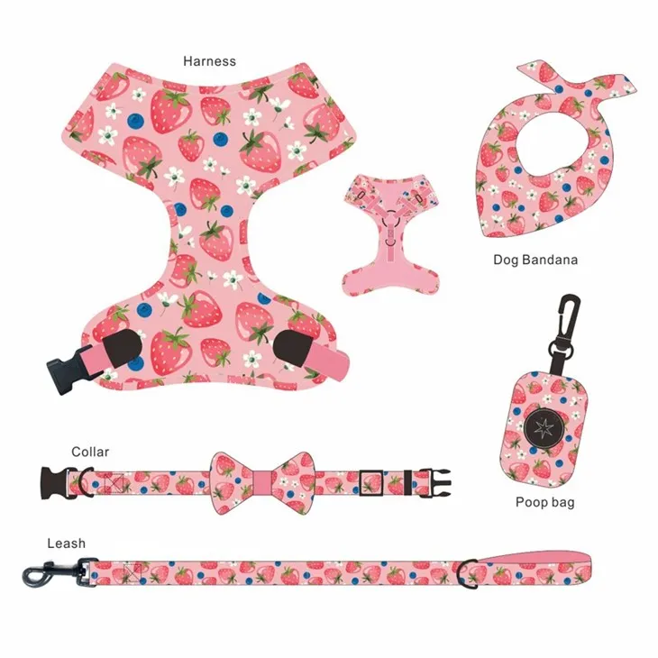 Stylish Pet Harness Set suppliers