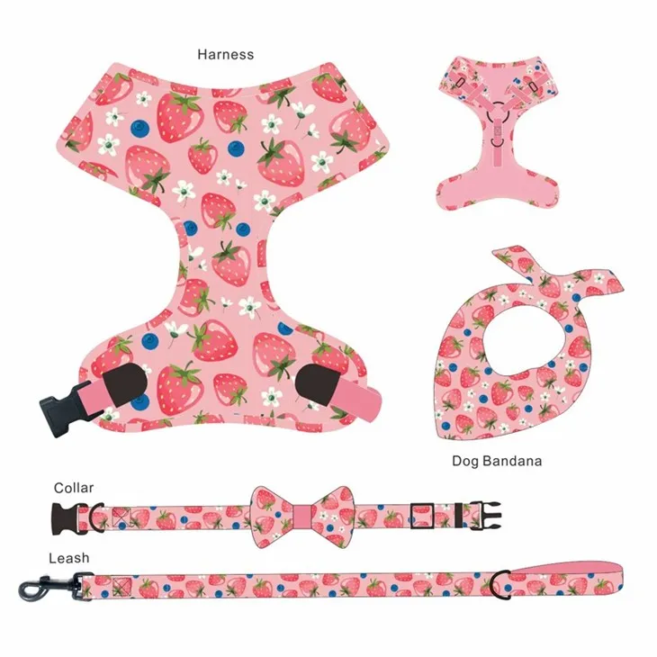 Stylish Pet Harness Set price